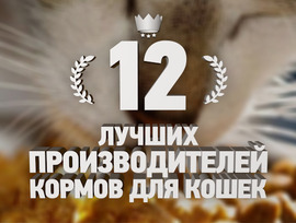 12 най-добри производители на котешки и котешки храни