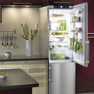 Hur man väljer ett bra kylskåp hemma?