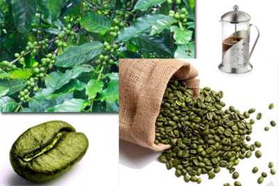 De voordelen en schade van groene koffie