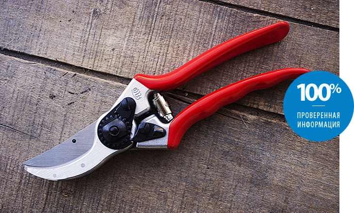The right choice of pruner