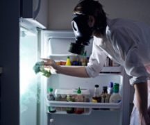  Mold i køleskabet