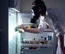  Mold in the fridge