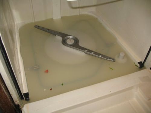  Nước trong máy rửa bát