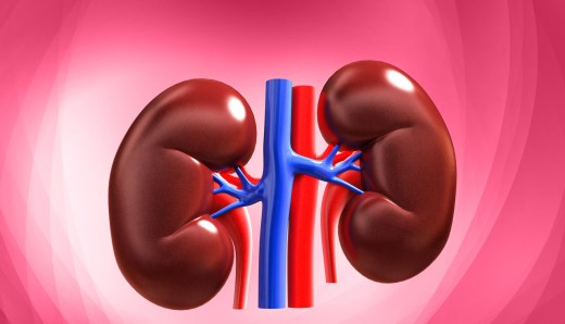  Portable artificial kidney