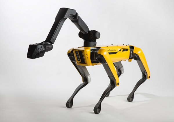  Roboterhund